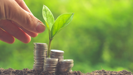 preview image - Three KiwiSaver Decisions For Greater Financial Certainty 