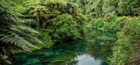 preview image - Becoming an ethical investor