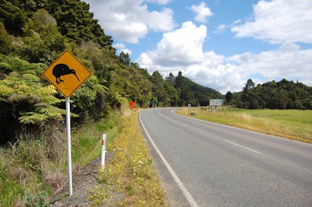 preview image - A Beginners Guide To KiwiSaver