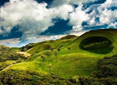 preview image - Lifetime Announces Strategic Partnership with Rothbury Group - Scoop